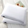 2pk Microfiber Medium Firm 2" Gusset Feather And Down Pillow - Beautyrest -Bedding Shop GUEST 0e1d9fd6 82a6 48c0 9abe d7a699d71777