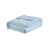 Allied Home Below 0 Bed Blanket -Bedding Shop GUEST 21b5c03d 92e9 44b6 b63e 2935d55e05af