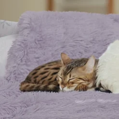 PiccoCasa Luxury Shaggy Soft Warm For Sofa Bed Faux Fur Blanket Purple Queen 1 Pc -Bedding Shop GUEST 3f1f8c64 af62 4d85 8dbb f2db6c47b43a