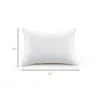 Cheer Collection Hypoallergenic Toddler Pillow - White (19" X 14") 2 Cheer Collection Hypoallergenic Toddler Pillow - White (19" X 14") -Bedding Shop GUEST 609d440d 5dea 4392 a39e e68bcc59a1c3