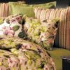 C&F Home Juliette Standard Sham -Bedding Shop GUEST 7f2f2369 f6a3 43dc b4f7 c38c86a2b5c3