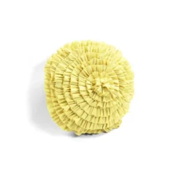 5pc Harley Quilt Set - Lush Décor -Bedding Shop GUEST a3925529 3e50 4c64 9a40 0d184f3aeb56