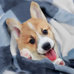 PiccoCasa Flannel Pom-Pom Tartan Checkered Fleece Throw Blanket 1Pc 10 PiccoCasa Flannel Pom-Pom Tartan Checkered Fleece Throw Blanket 1Pc -Bedding Shop GUEST a78fc1c7 f84b 4093 9394 14de89ee013c