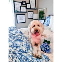 Blue Brooke Comforter Set - POPPY & FRITZ® -Bedding Shop GUEST db3e5b3e 2082 423d 90c7 c1c283b0c225