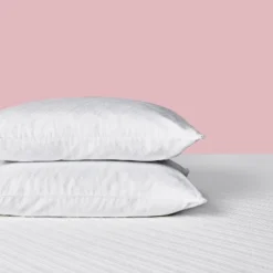 2pk Fresh & Cool Gel Memory Foam Bed Pillow With Antimicrobial Cover - Nüe By Novaform