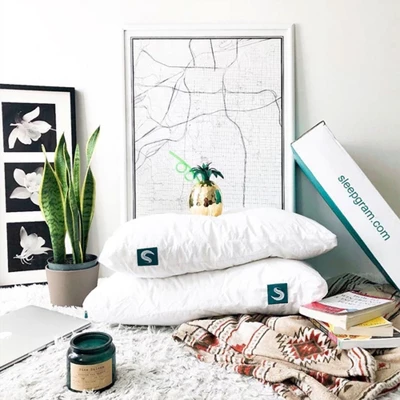 Contour Sleepgram Bed Support Adjustable Hypoallergenic Cool Sleeping Loft Soft Pillow With Removeable Microfiber Cover, Queen Size, White (2 Pack) 3 Contour Sleepgram Bed Support Adjustable Hypoallergenic Cool Sleeping Loft Soft Pillow With Removeable Microfiber Cover, Queen Size, White (2 Pack)